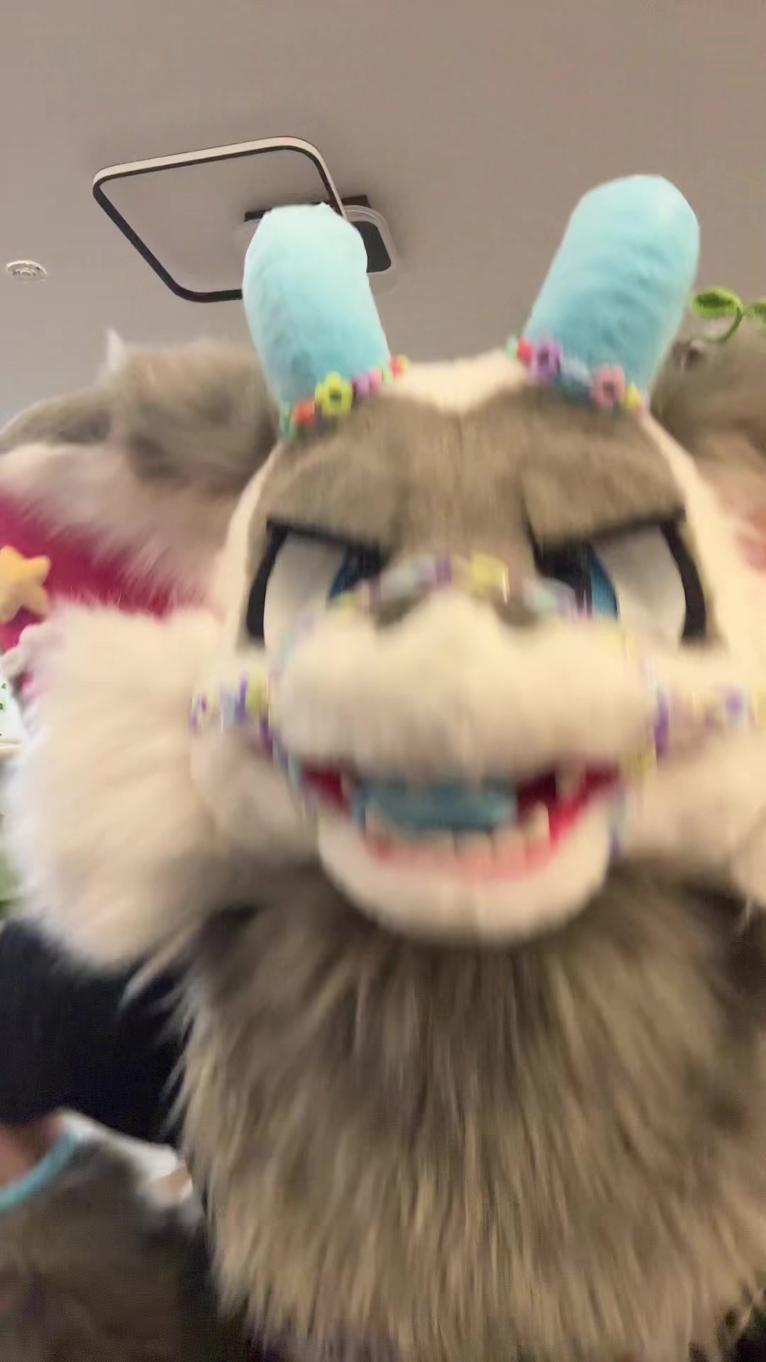 @fuzzybee