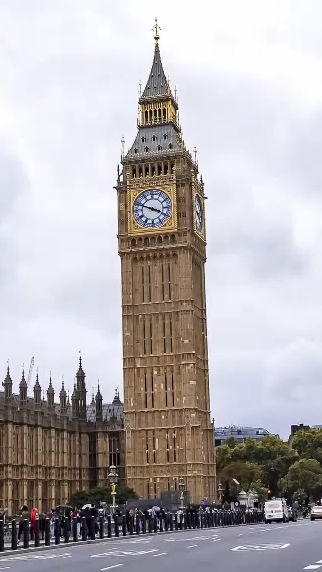 @aucaradian