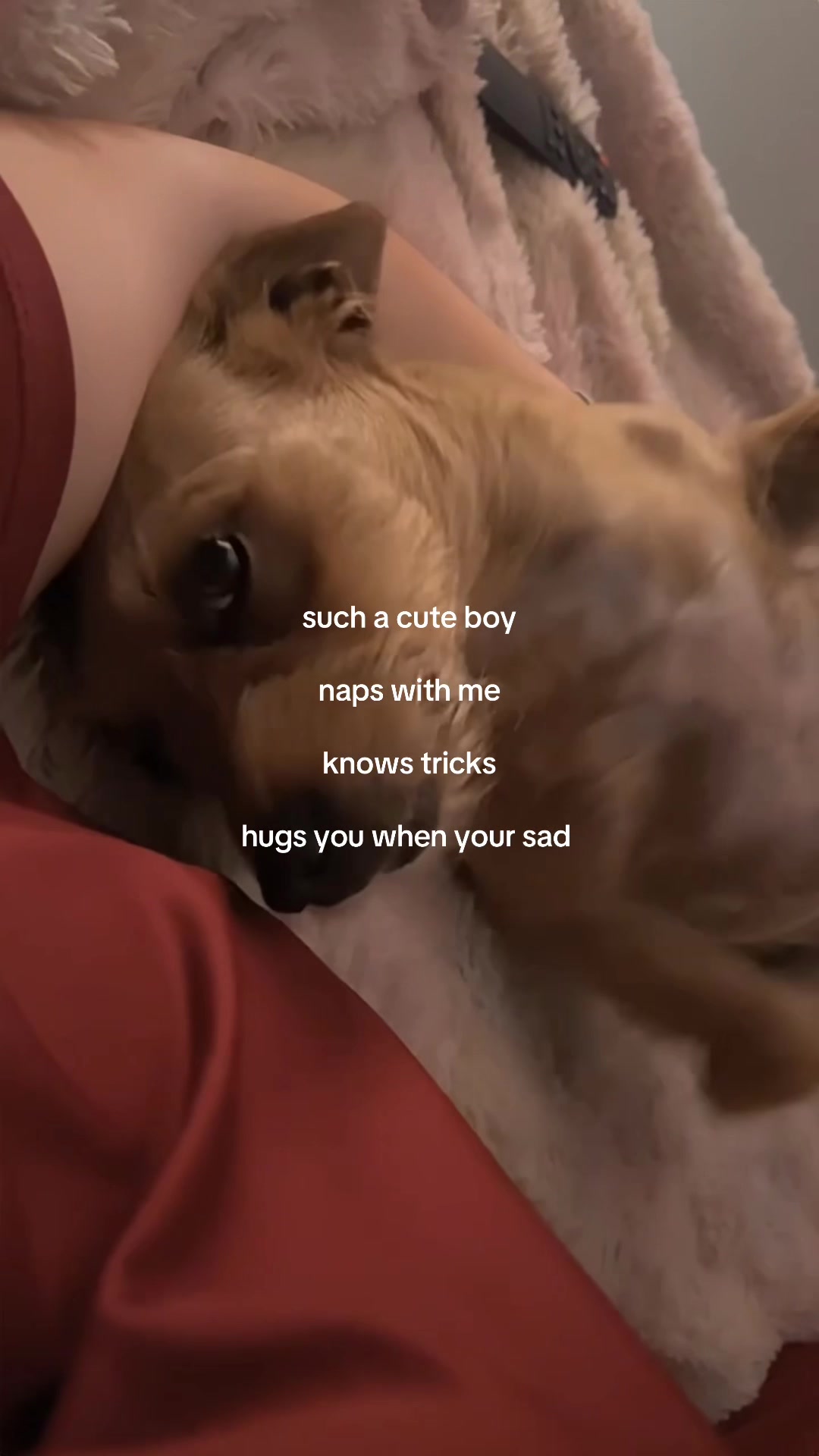 @Ellie⋆𐙚⊹♡