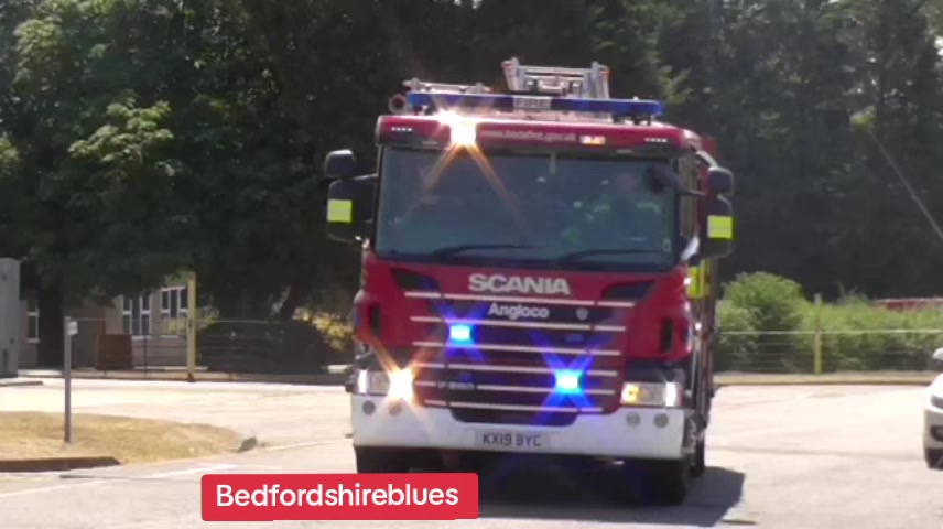 @bedfordshireblues