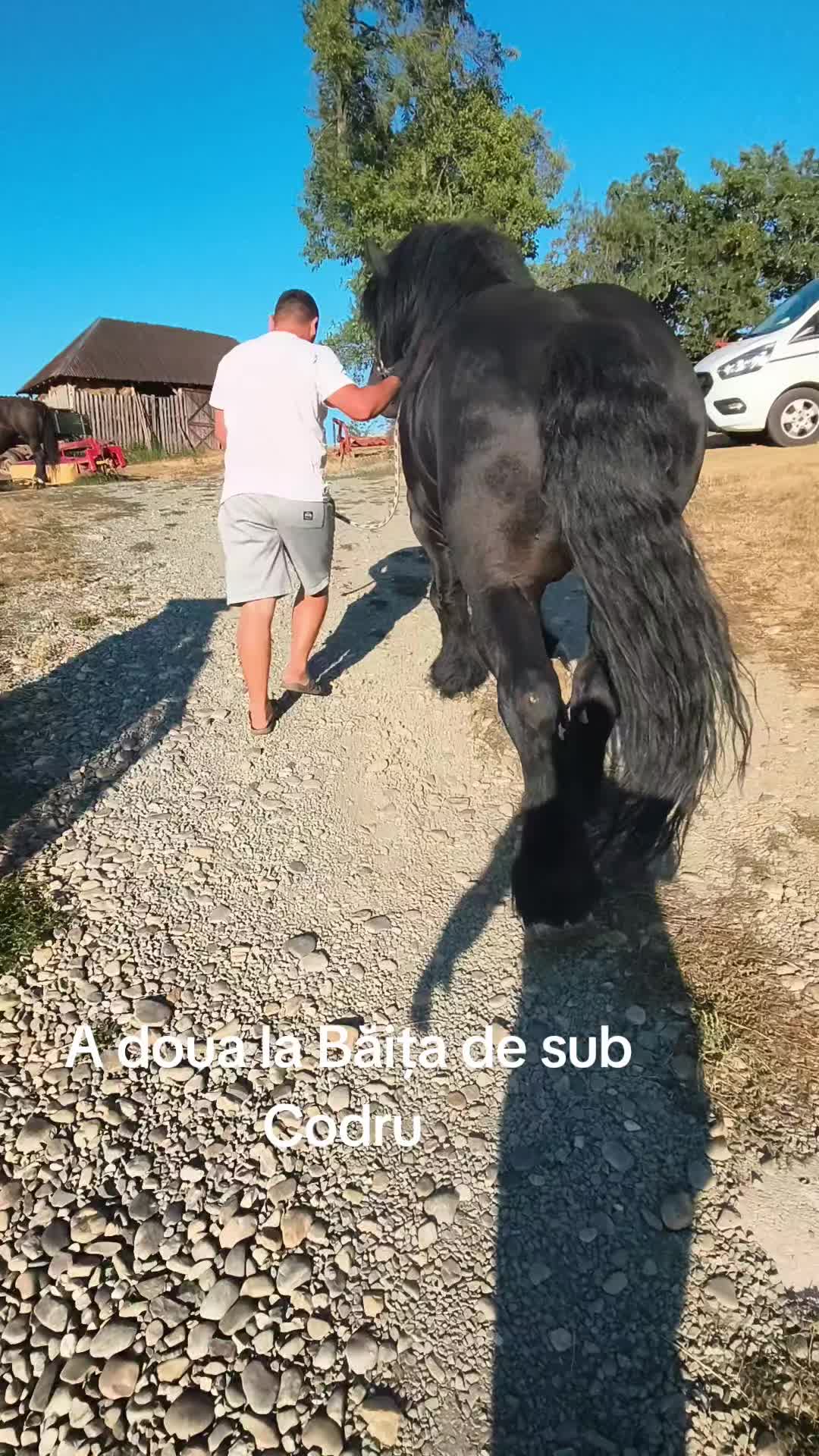 @Andrei Fernye