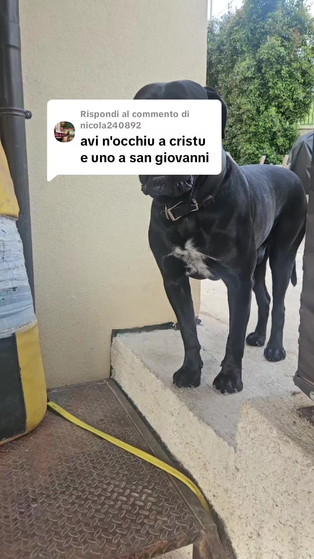 @Luna Gotica