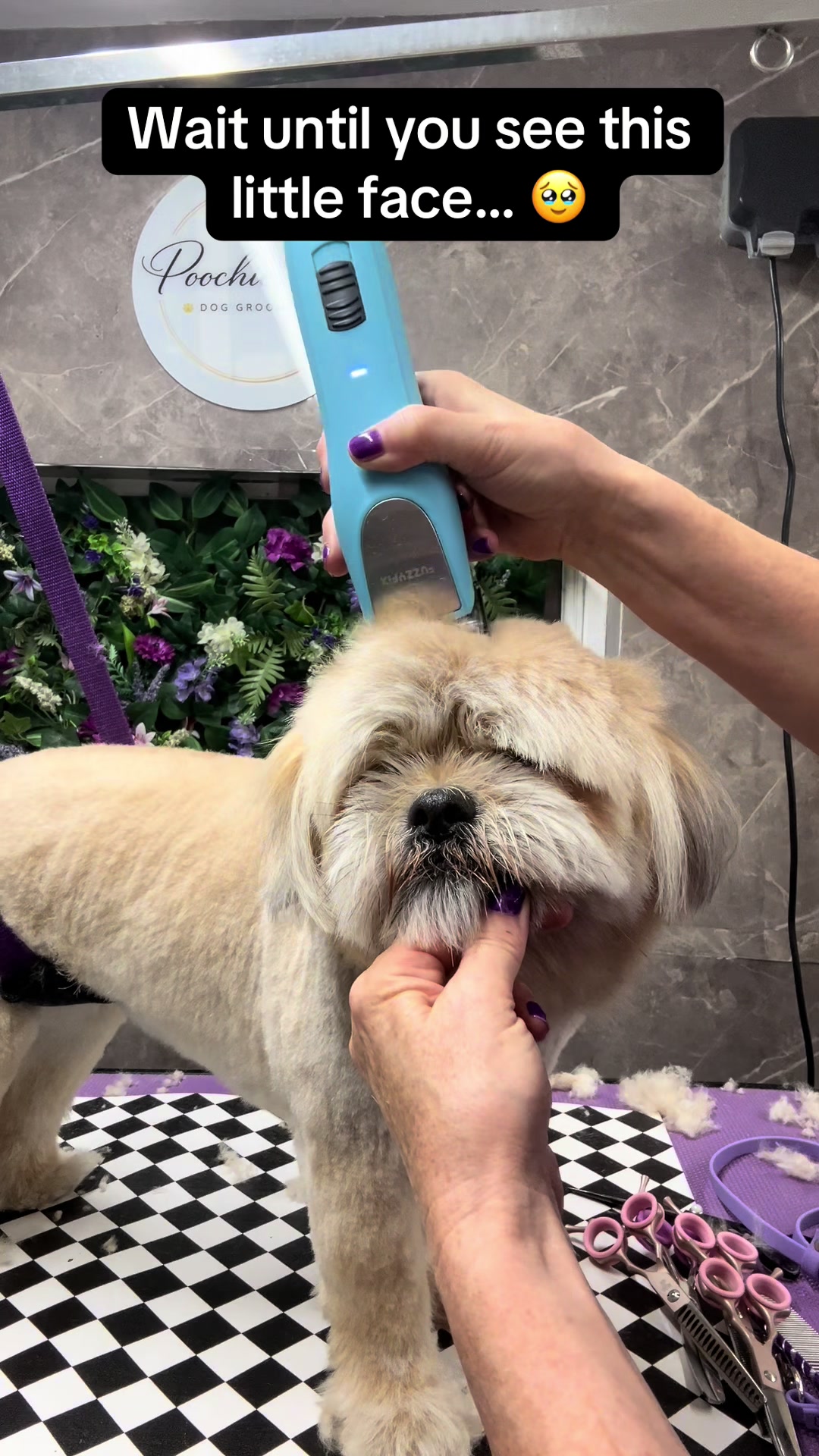 @Poochiepoosdoggrooming