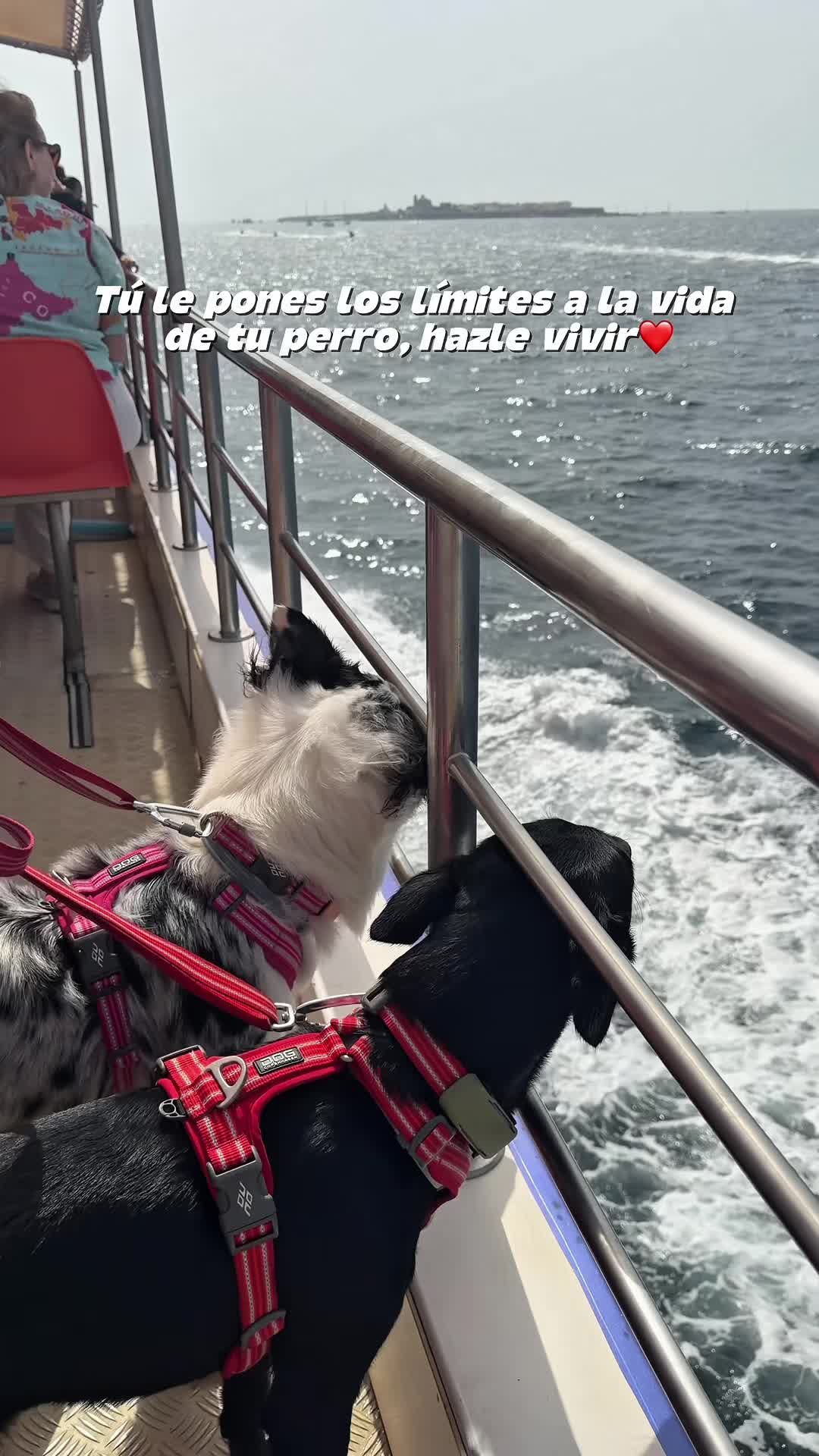 @Ares y Aura