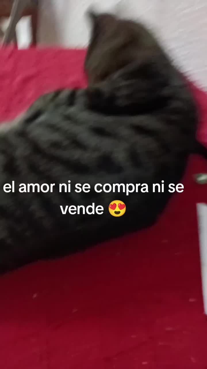 @Vero Jimenez Ferrer