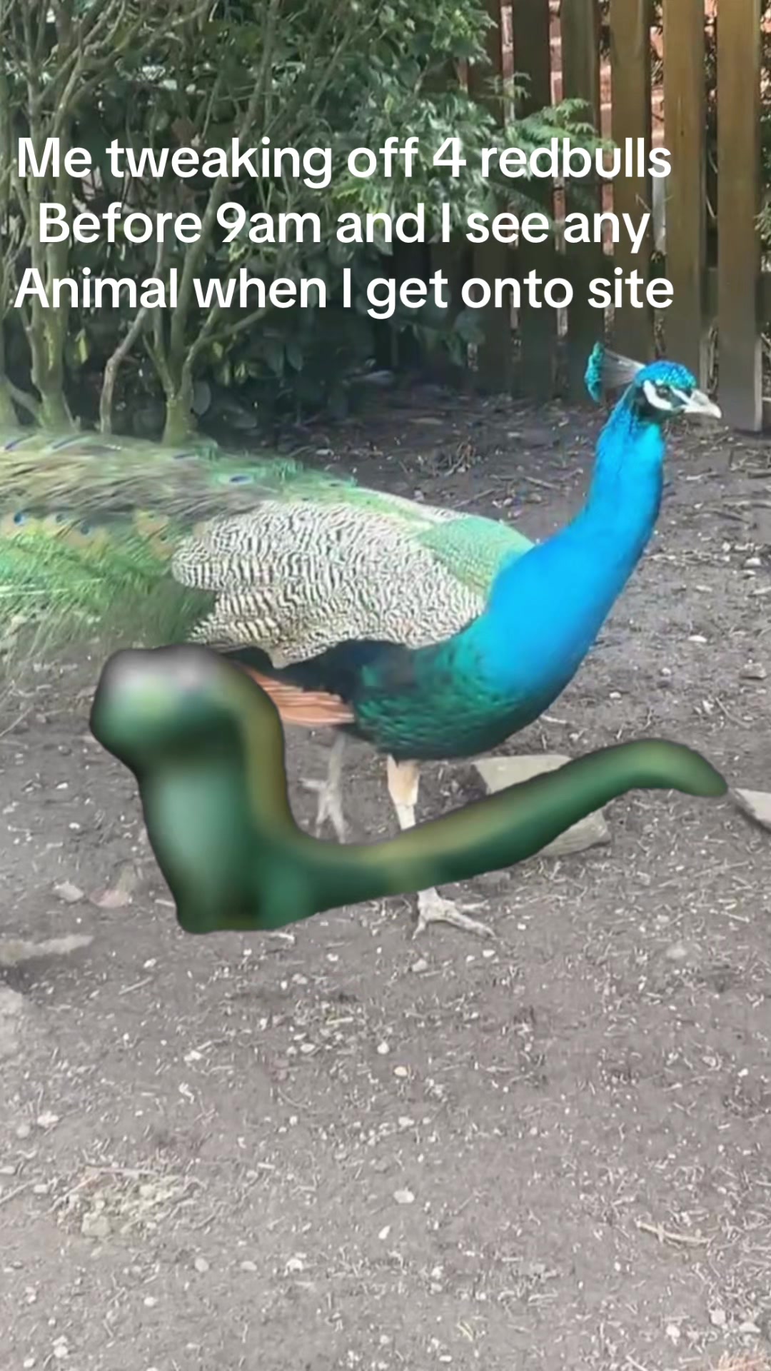 @con𖣂