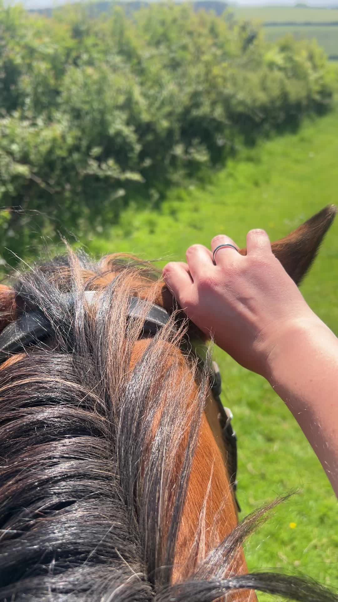 @Its_rosie_23x🤍
