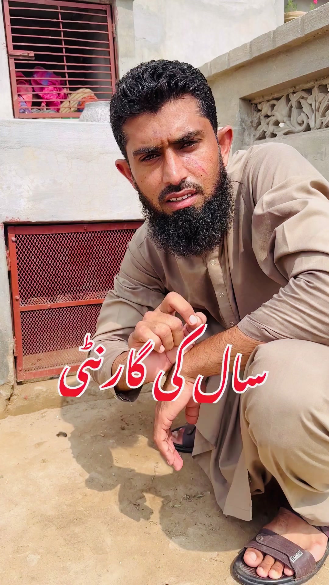 @Poultry Markaz