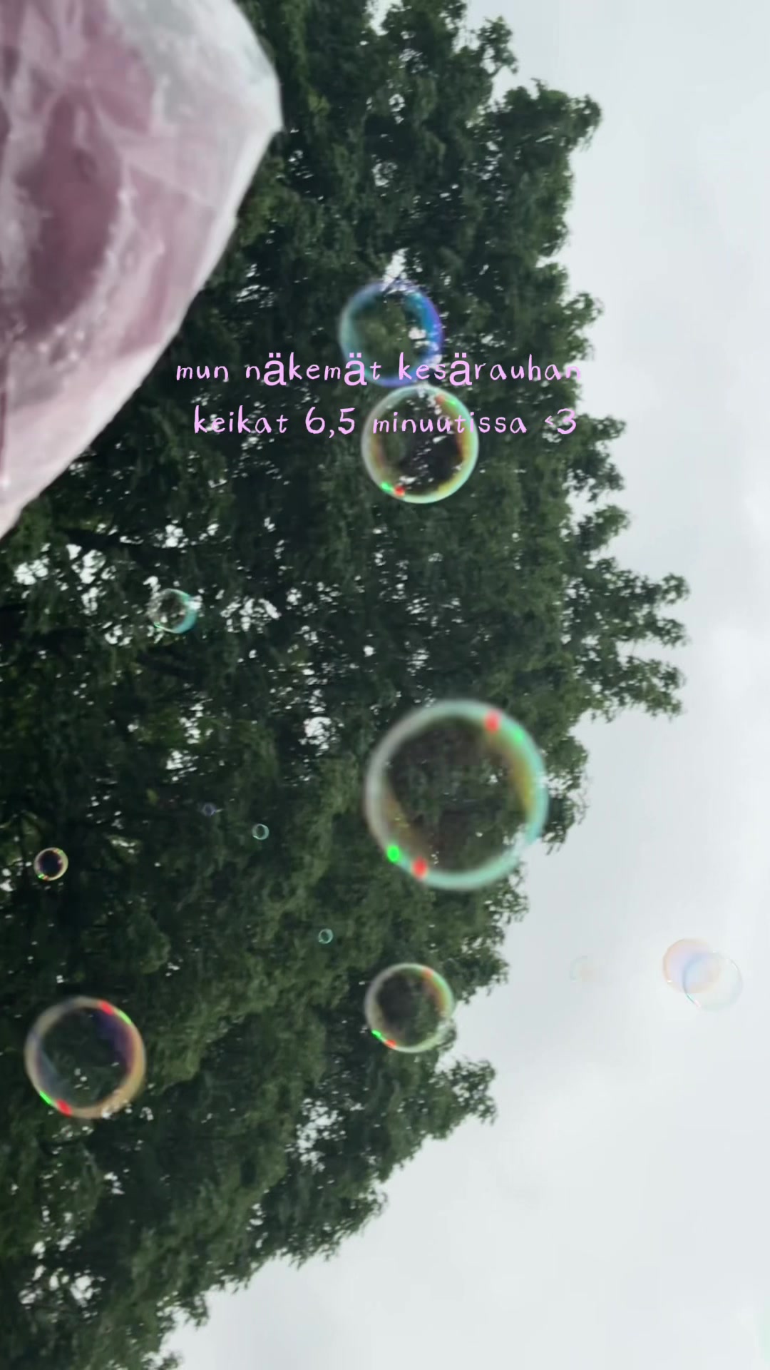 @ronja adalmina <3