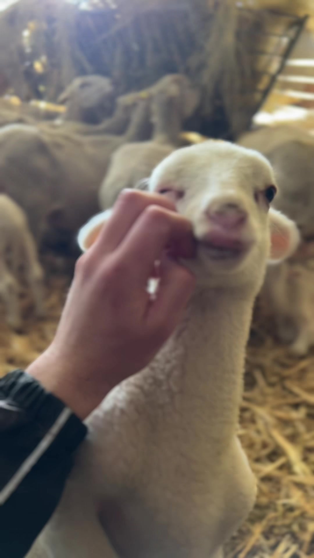 @CÉDRIC 🤠