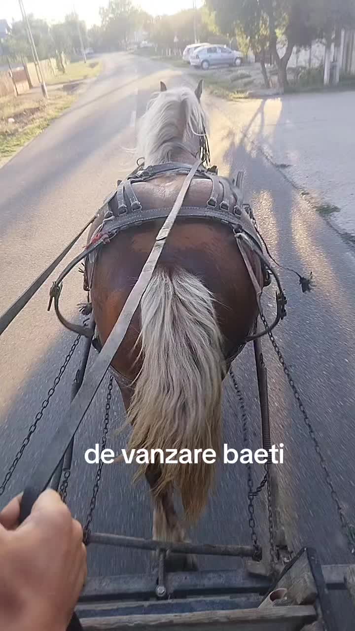 @iuli_curcanu_21