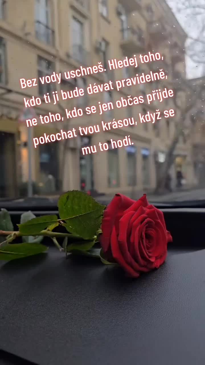 @🎀 𝕍𝕖𝕣𝕚𝕤𝕖𝕜 🎀