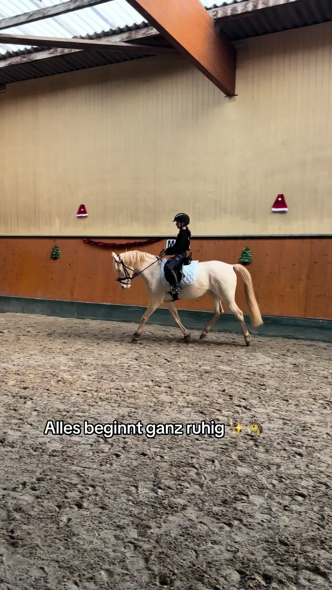 @Shanea & ihre Ponys ♥️🐴