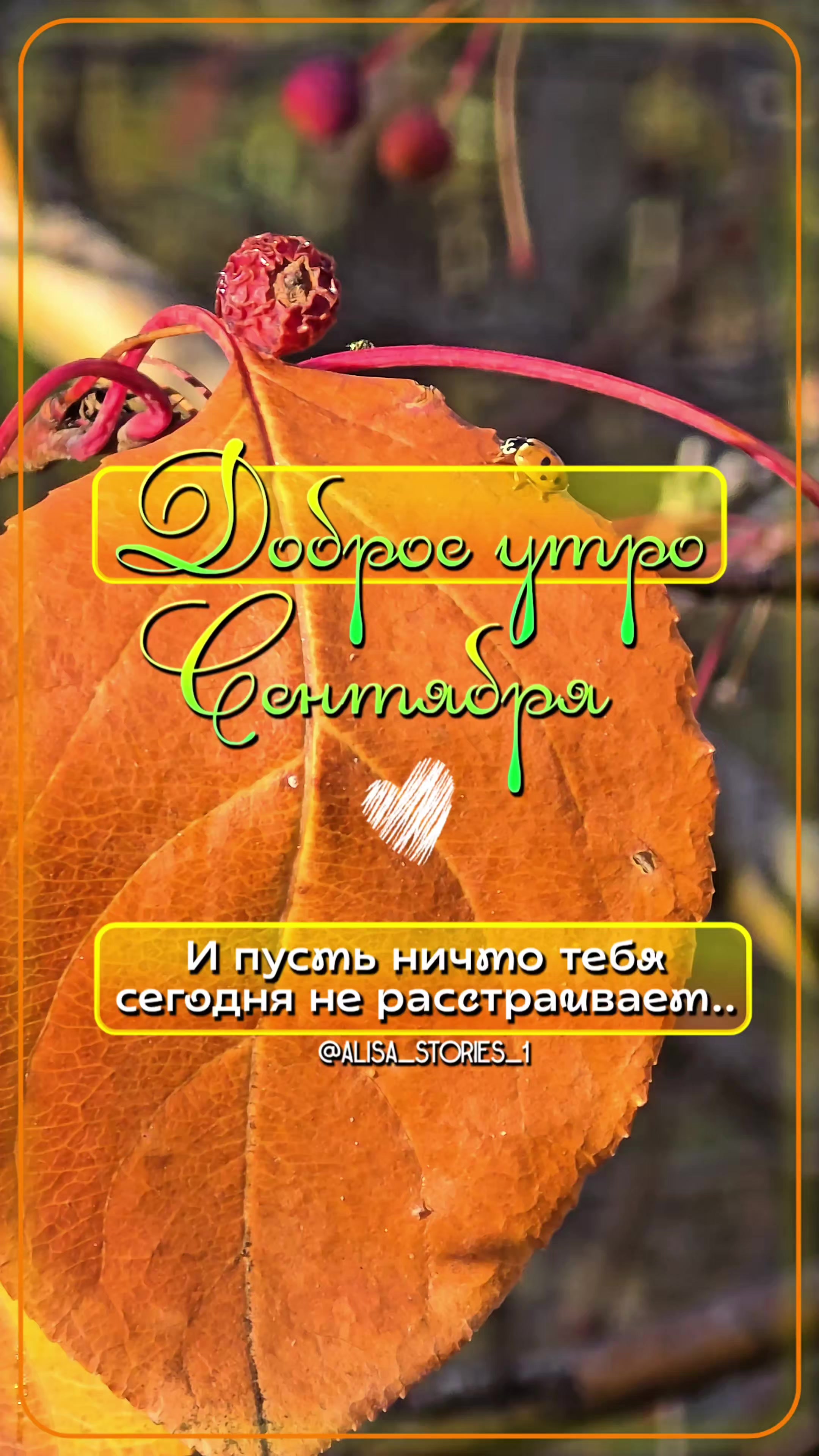 @ТГК:alisa_stories_1