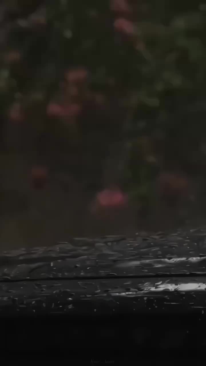 @ྀᥫ᭡𝙃 𝙀 𝙀 𝙍🍁•