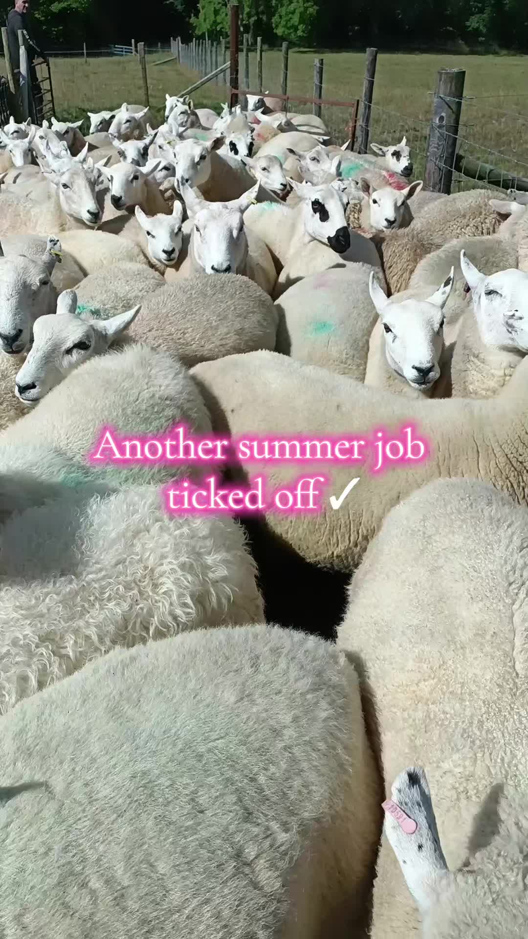 @fieldsforevere42