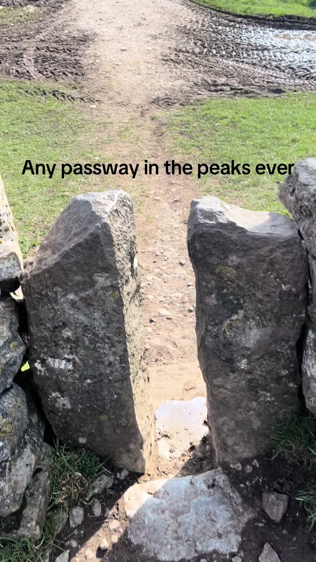 @Georgia 🪩⛰️🥾🍃💫