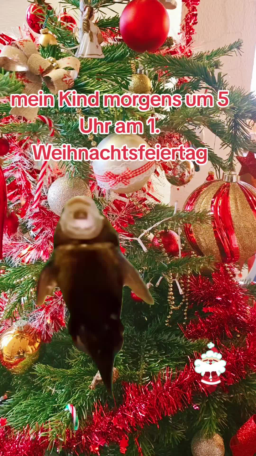 @Steffy ⚘️Kleerchensart