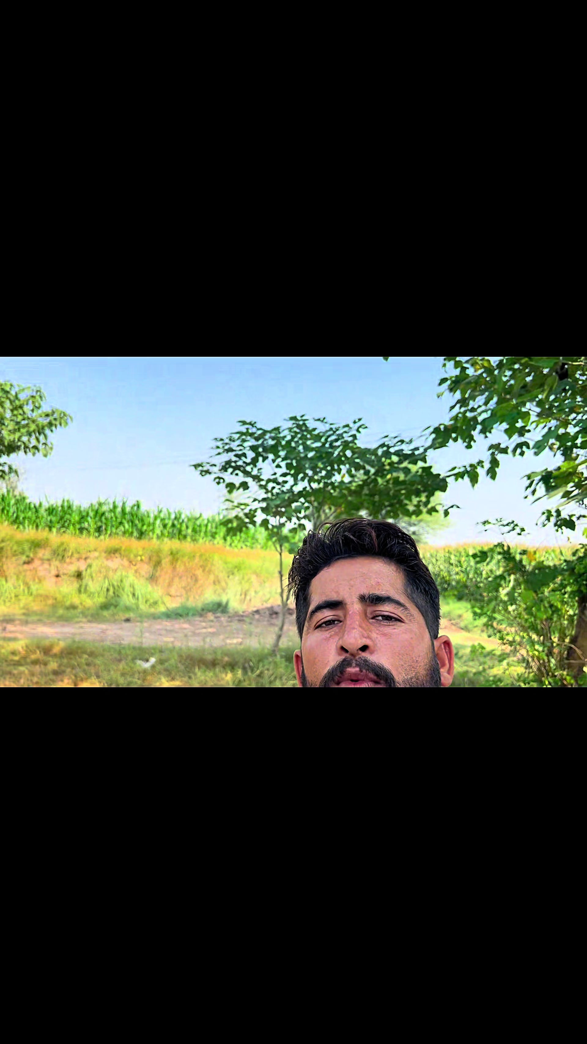 @پینڈو بوائز 378