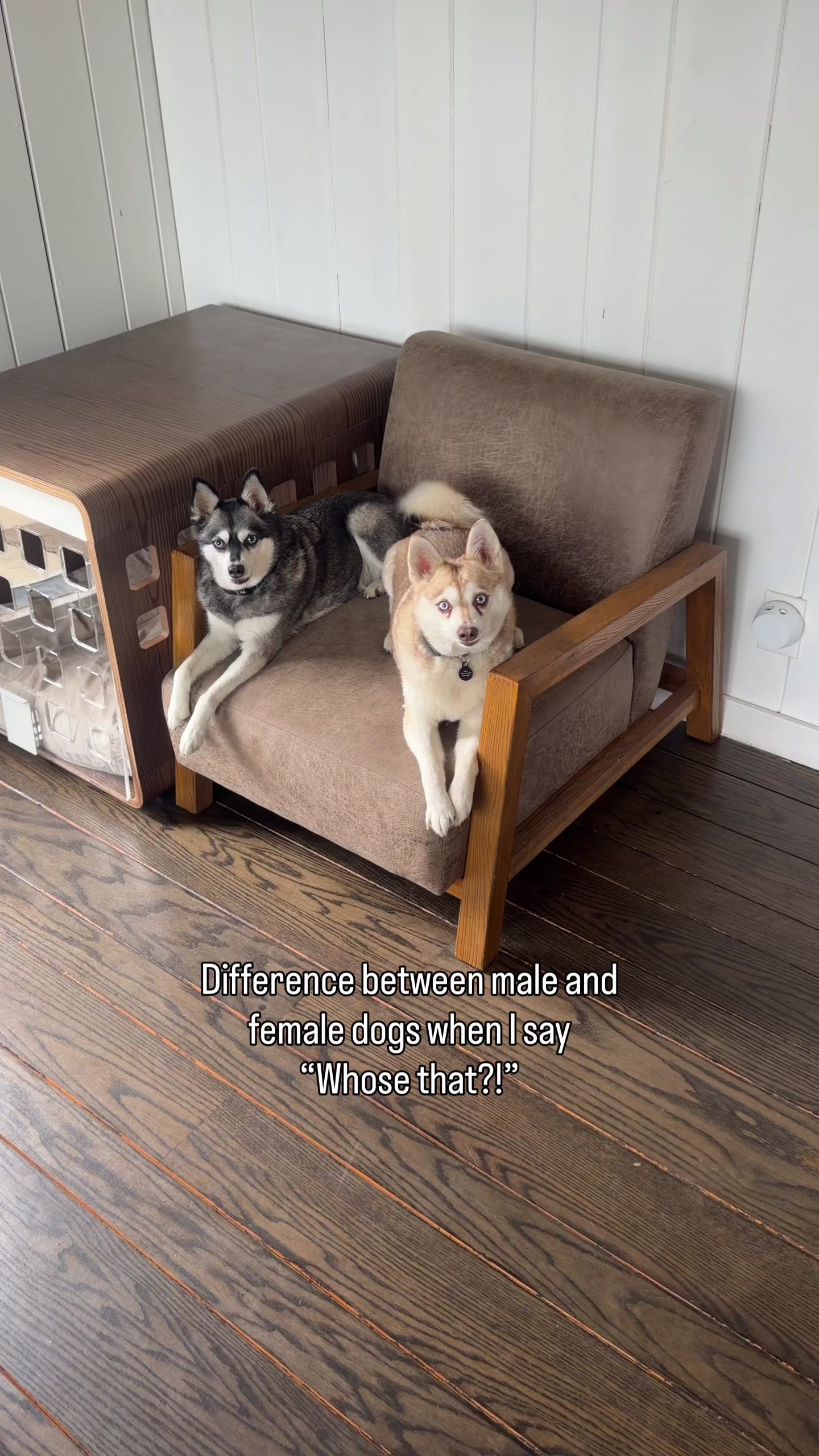 @lifewithkleekai