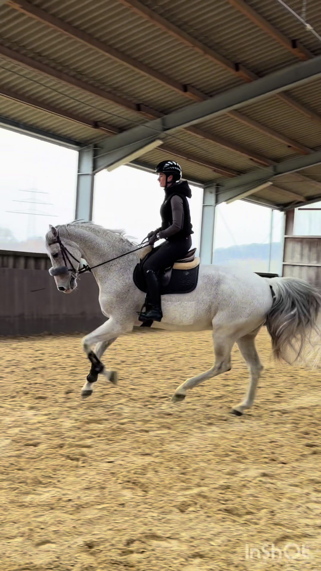 @lam.showjumping