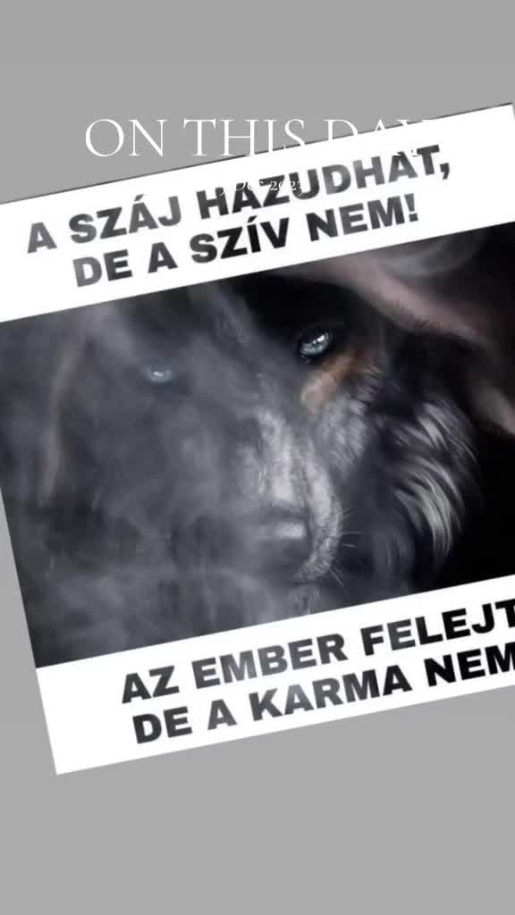 @Elveszett Lelkek