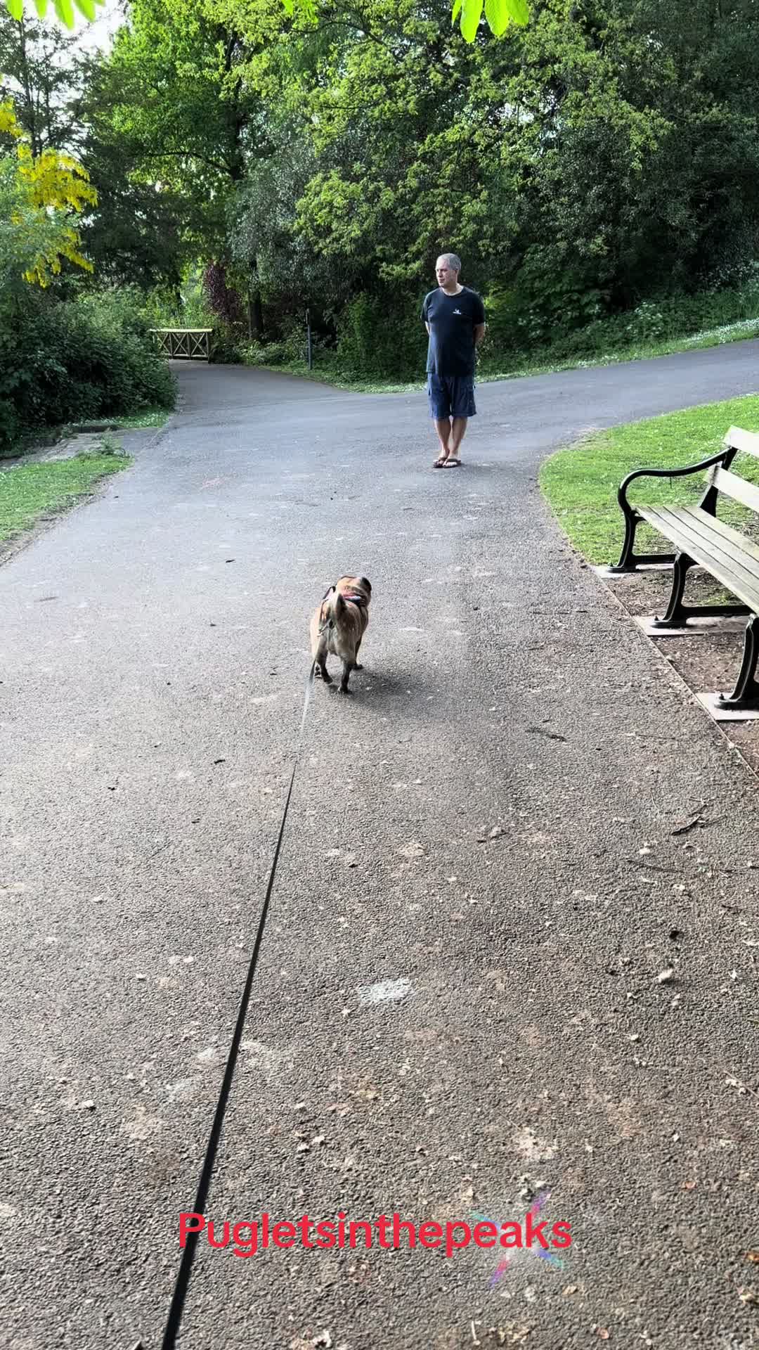 @Puglets in the peaks