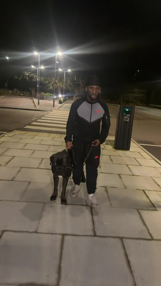 @sdtvshortkingofmanny