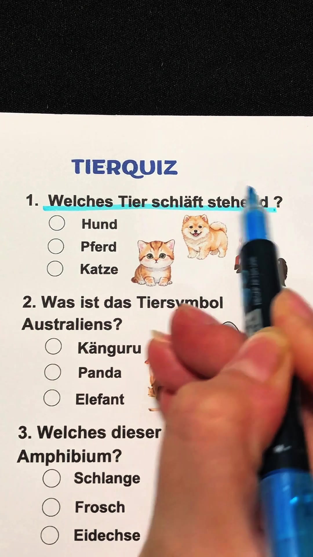 @Base Quiz