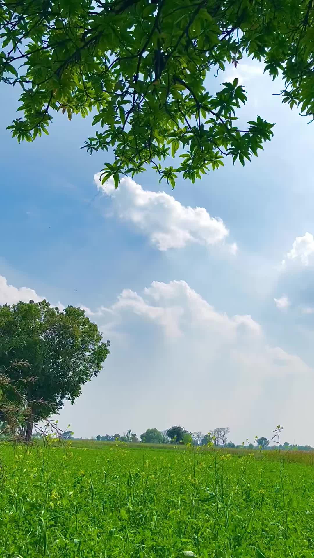 @دیسی _منڈا_😎