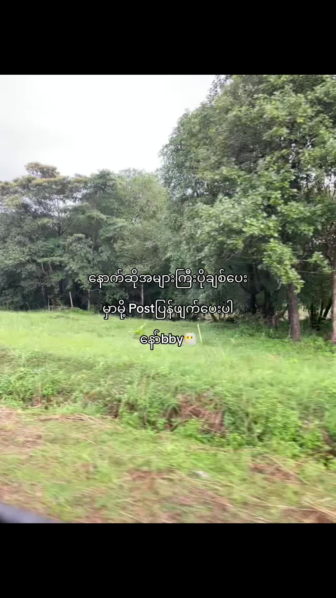 @Min Min (2)