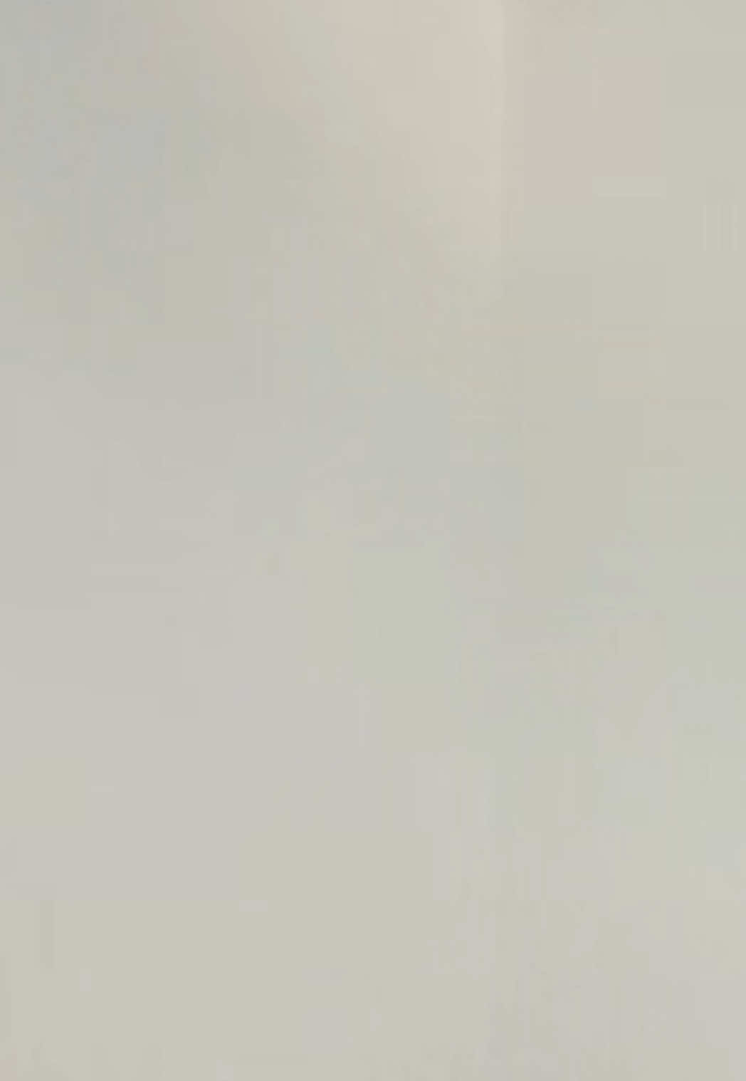 @yosicanto_.