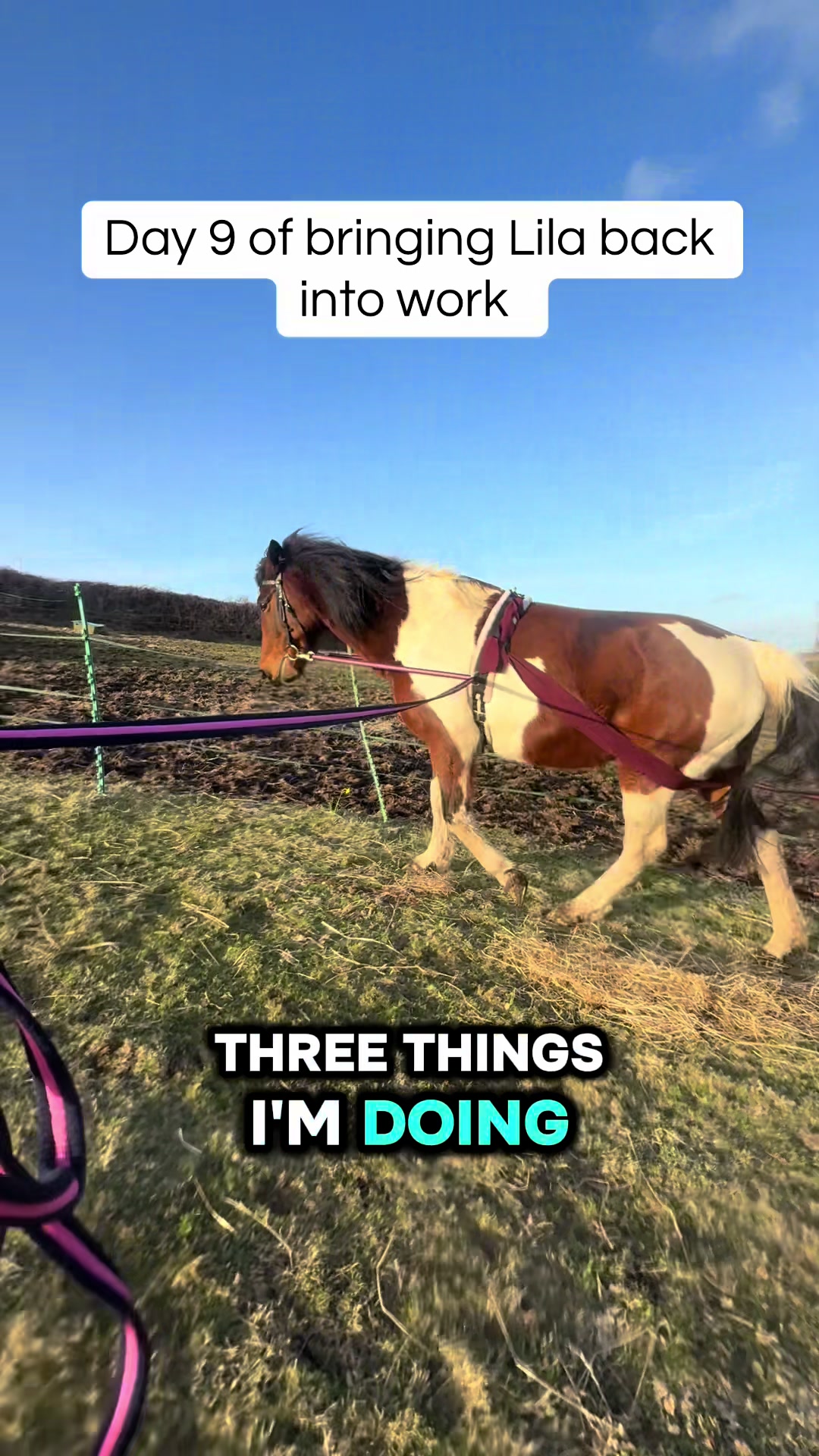 @sammie & Lila 🐴🌸
