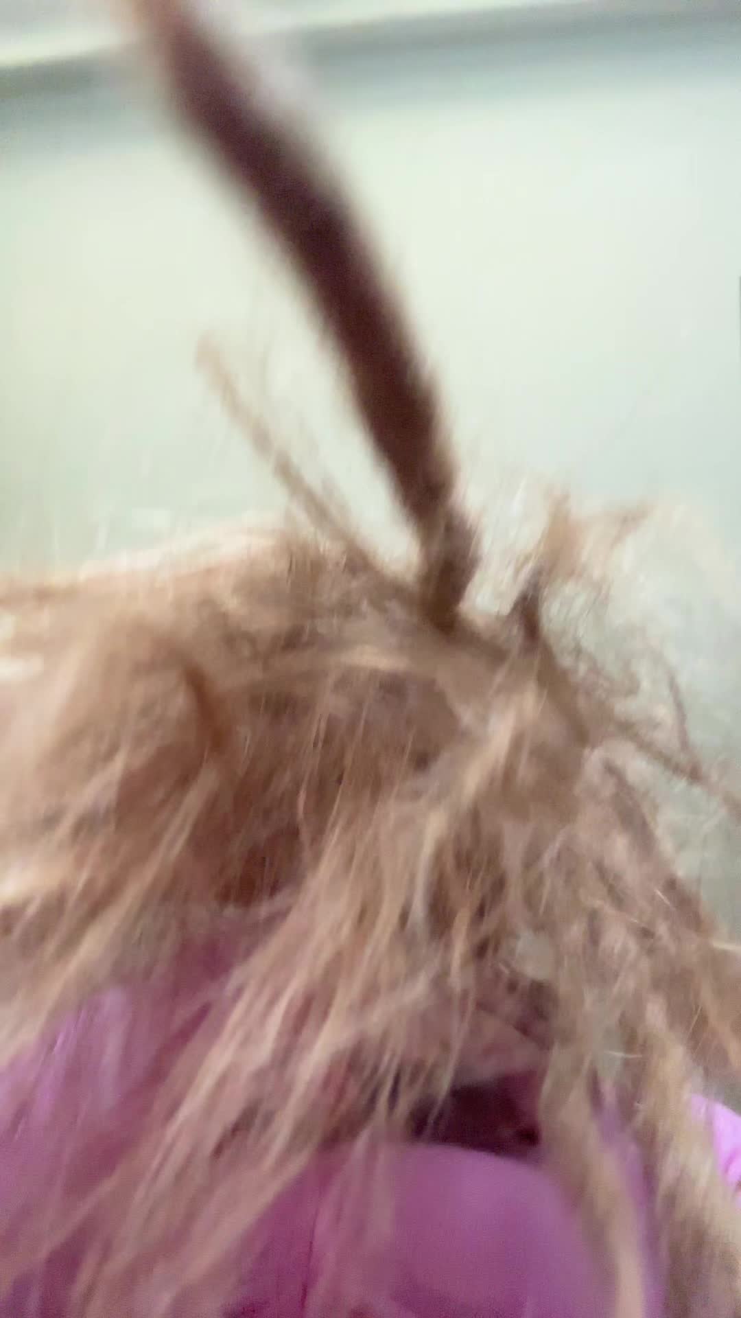 @zazuza364