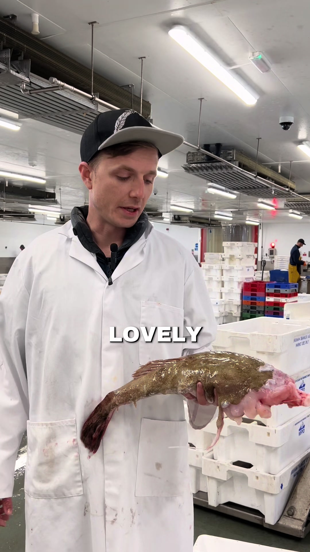@Direct Seafoods London