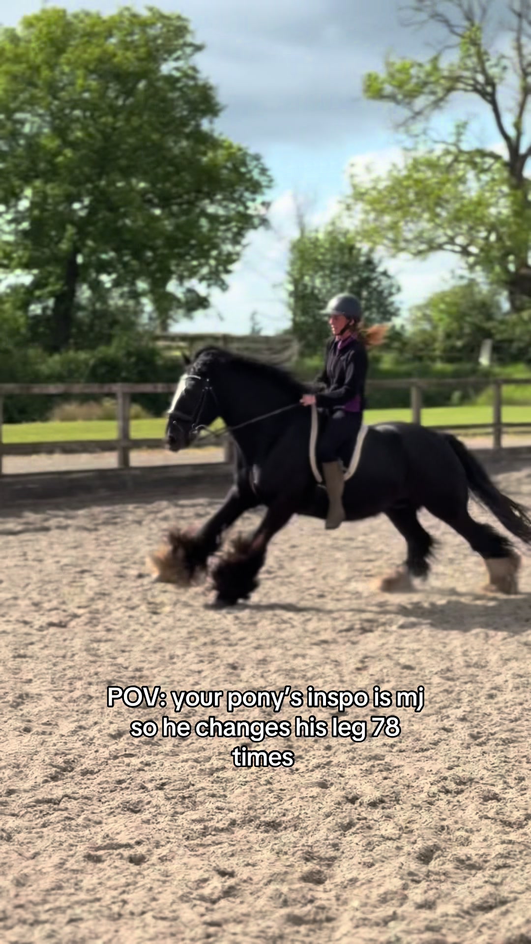 @Sophie&merlin🌸🐴