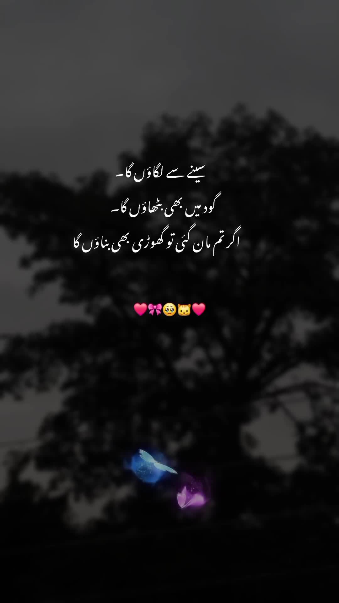 @NOOR 𔘓 / 🫥