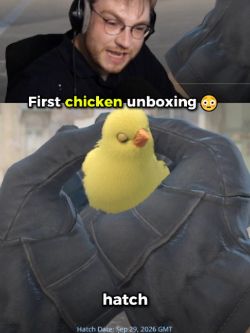 @ohnePixel