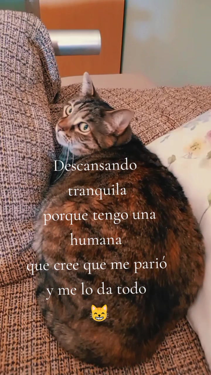 @Rosi Ramos