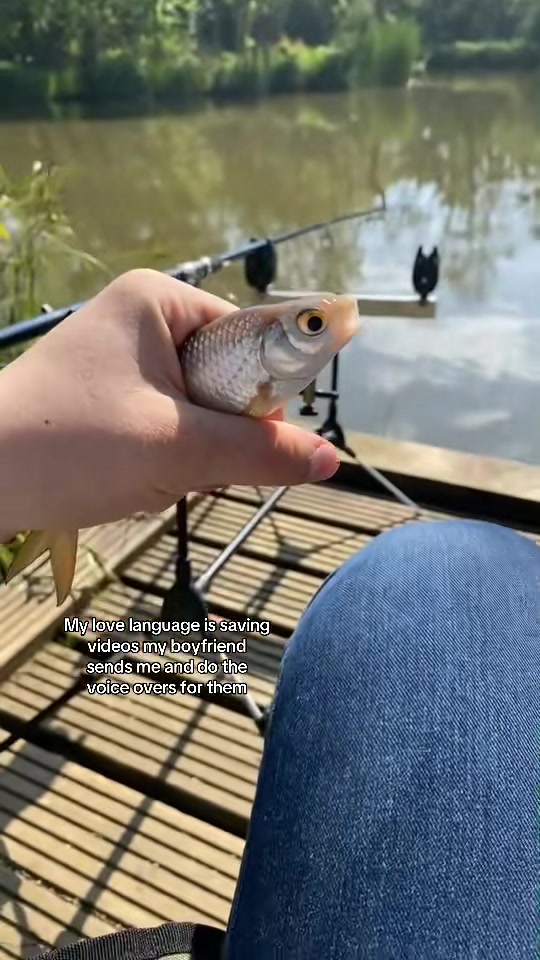@Sophie Louise🦈