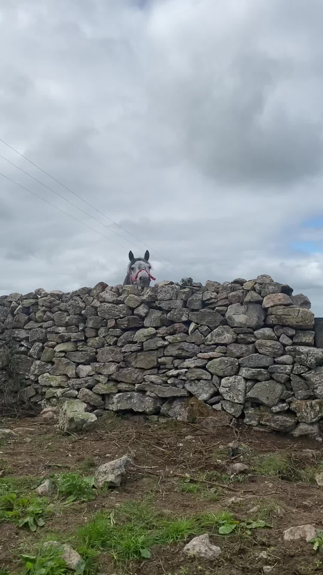 @LiamSTONEMASON