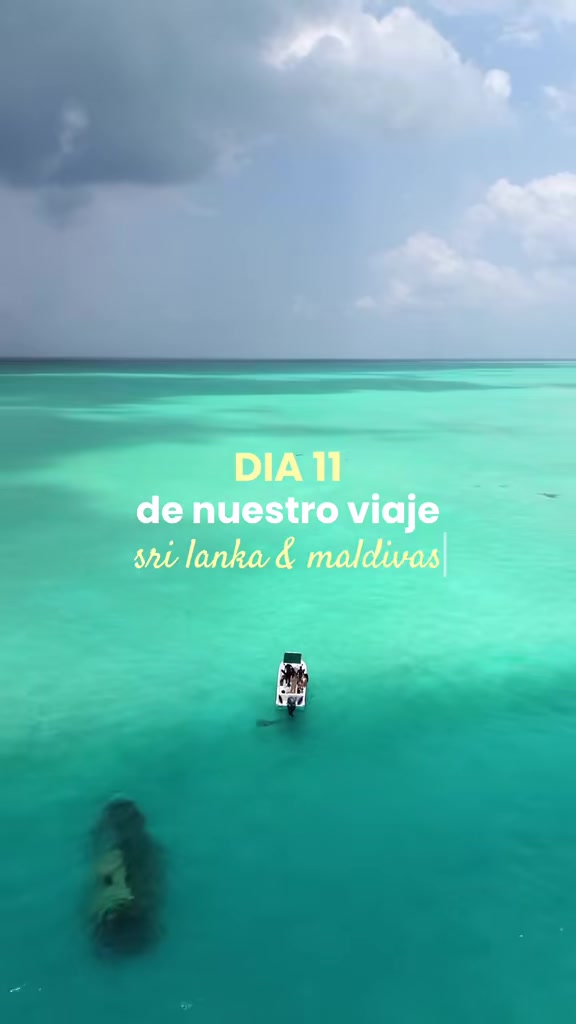 @Laia Ruiz