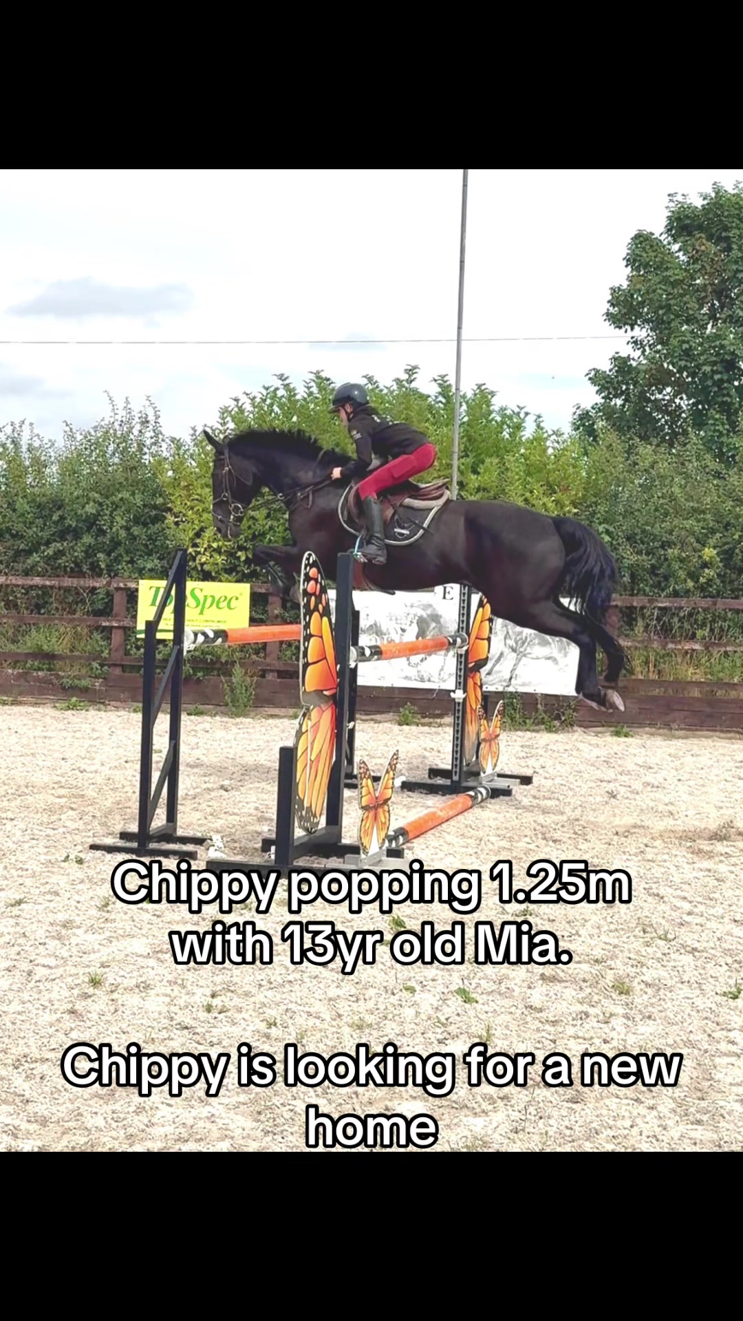 @RavenSide Equestrian