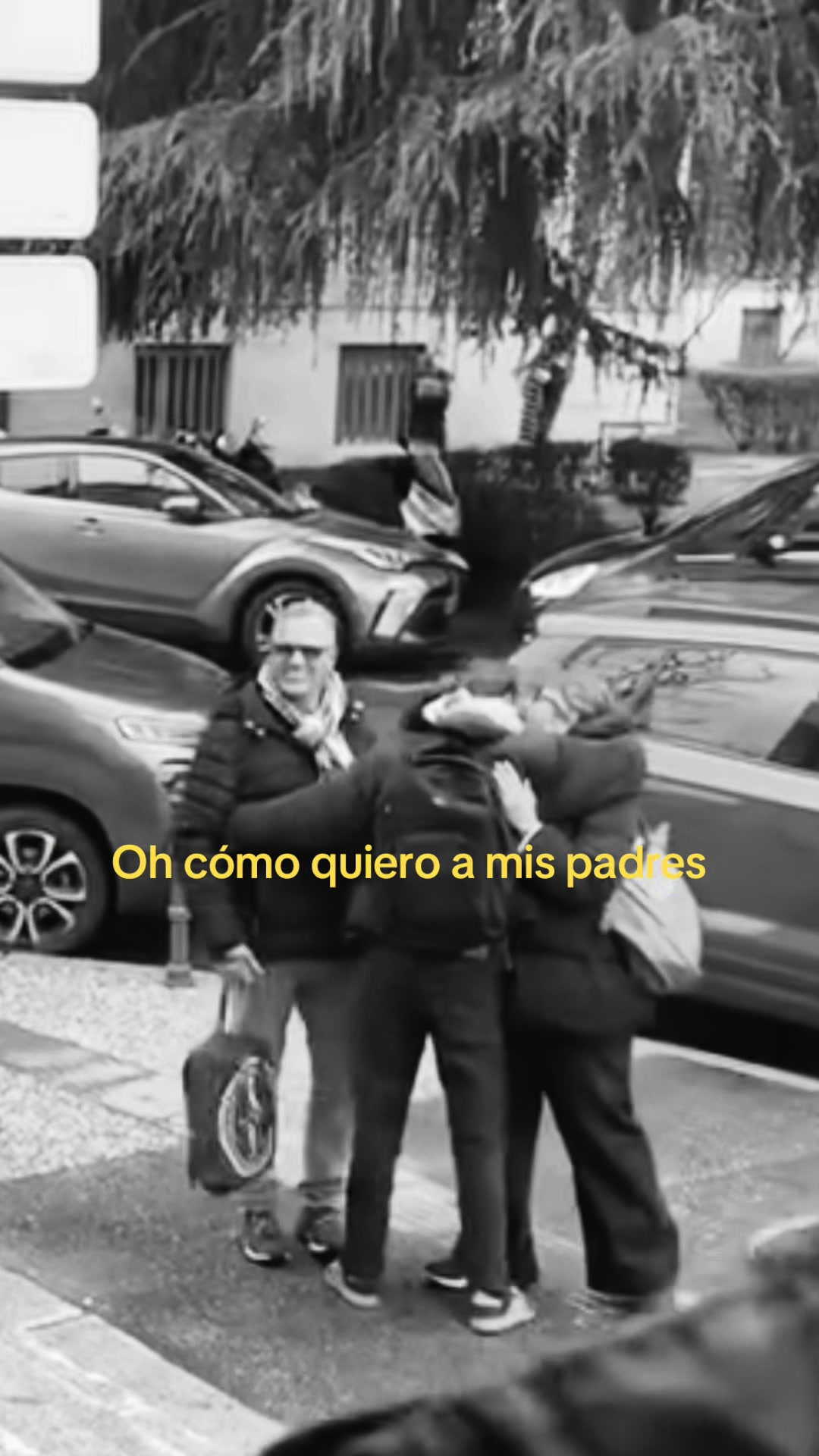 @inesteibol