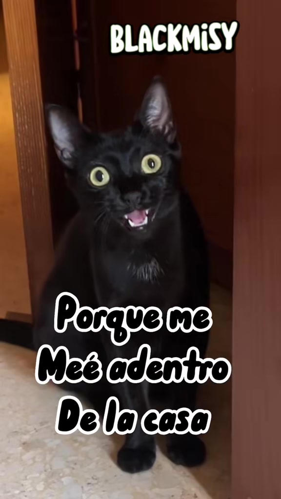 @BlackMisy