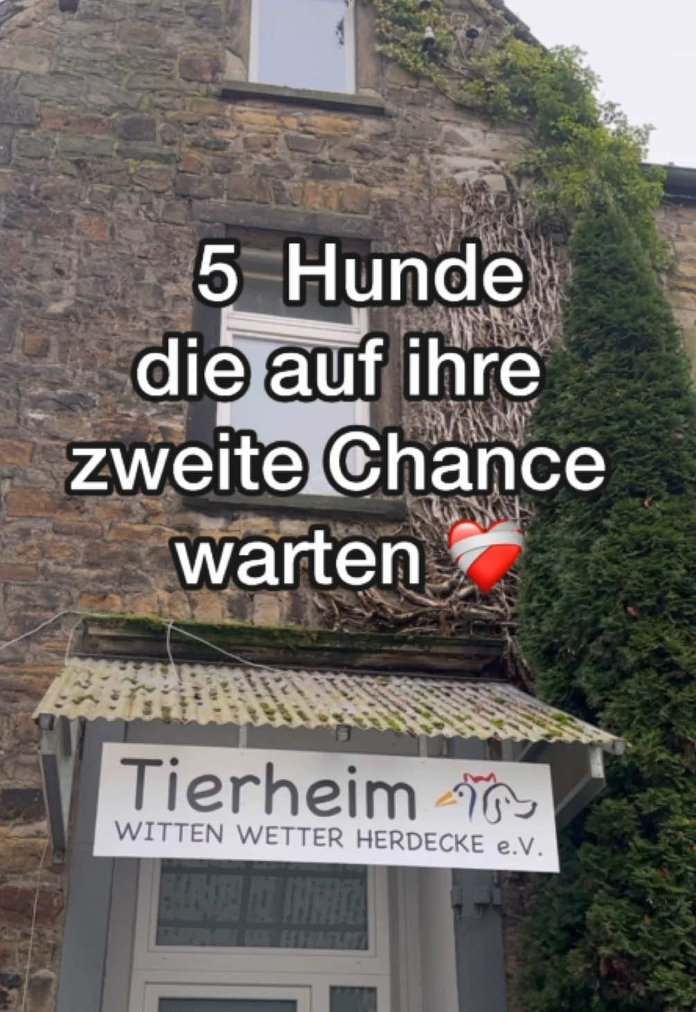 @Tierheim Witten e.V.