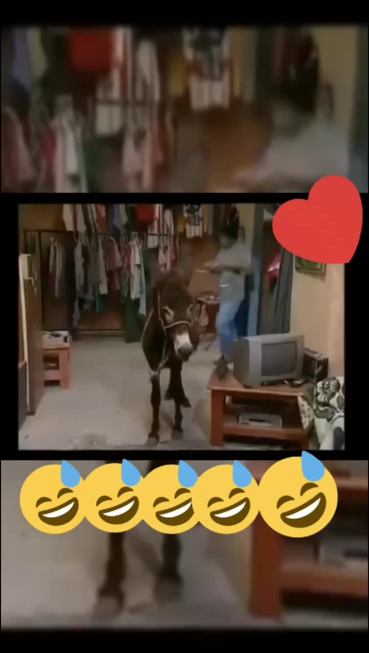 @نسيبتي_لعزيزة