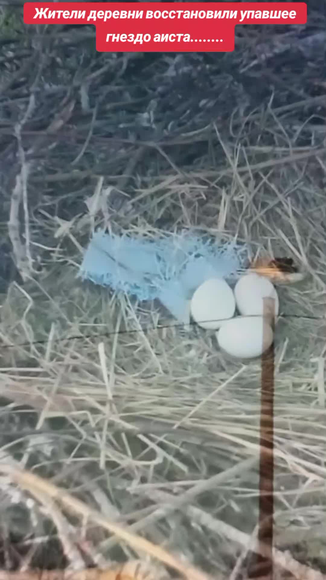 @S.М.