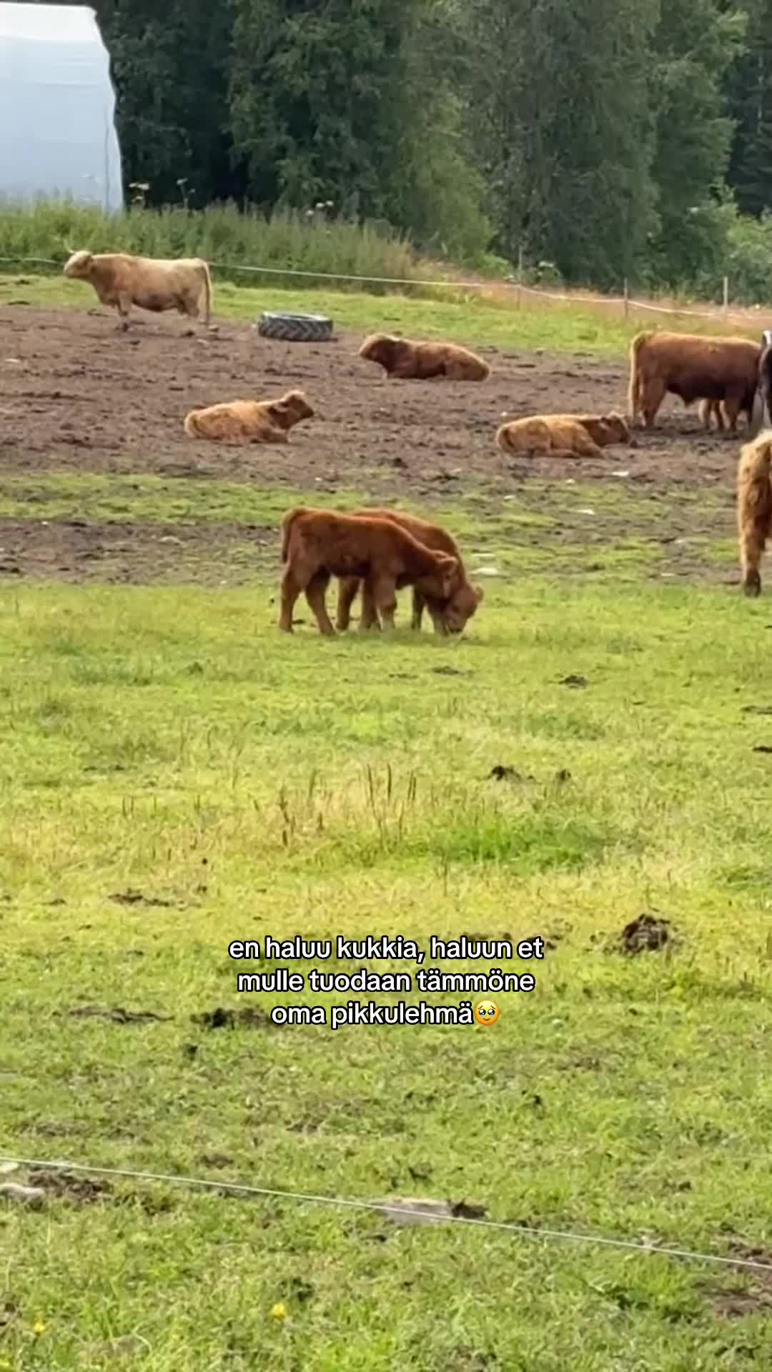 @anni vuori👸🏼