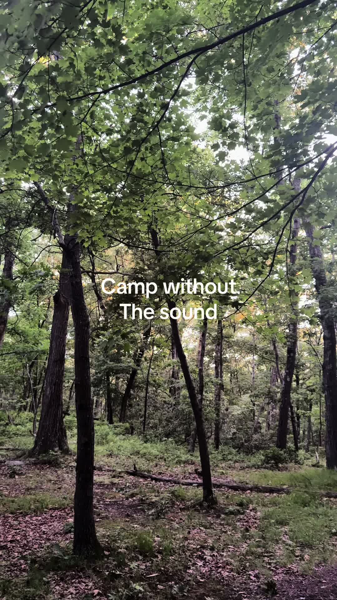 @sophie | Camp America ๐บ๐ธ โ๏ธ